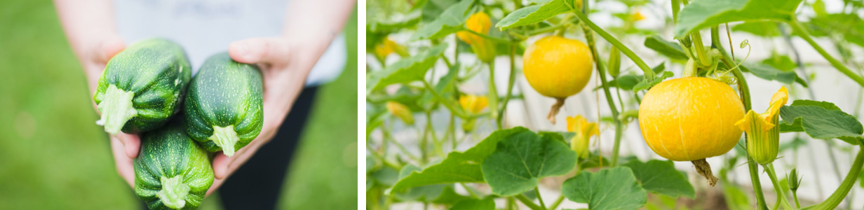 EVO真人(中文)官网