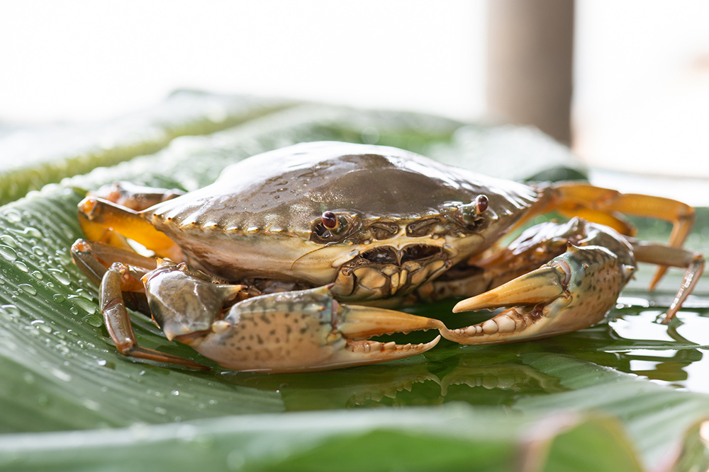 EVO真人(中文)官网